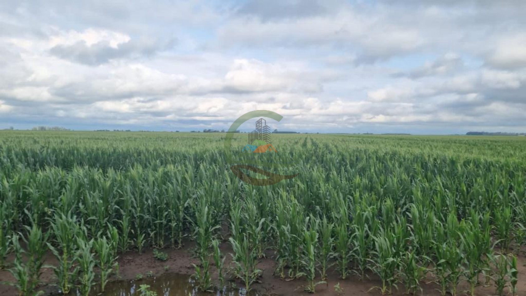 230 ha agricola - Labulaye
