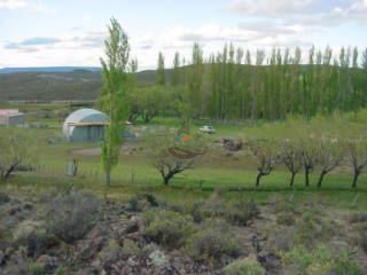 93000 ha Ganaderas - Pasos de los Indios - Chubut
