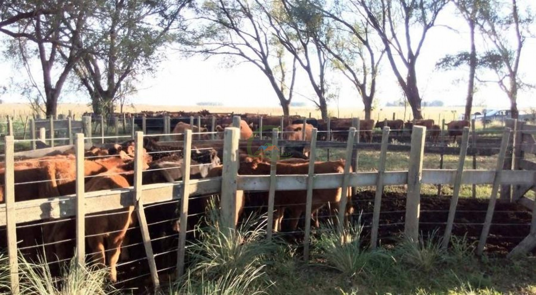 882 Ha Mixto - Gral Lamadrid