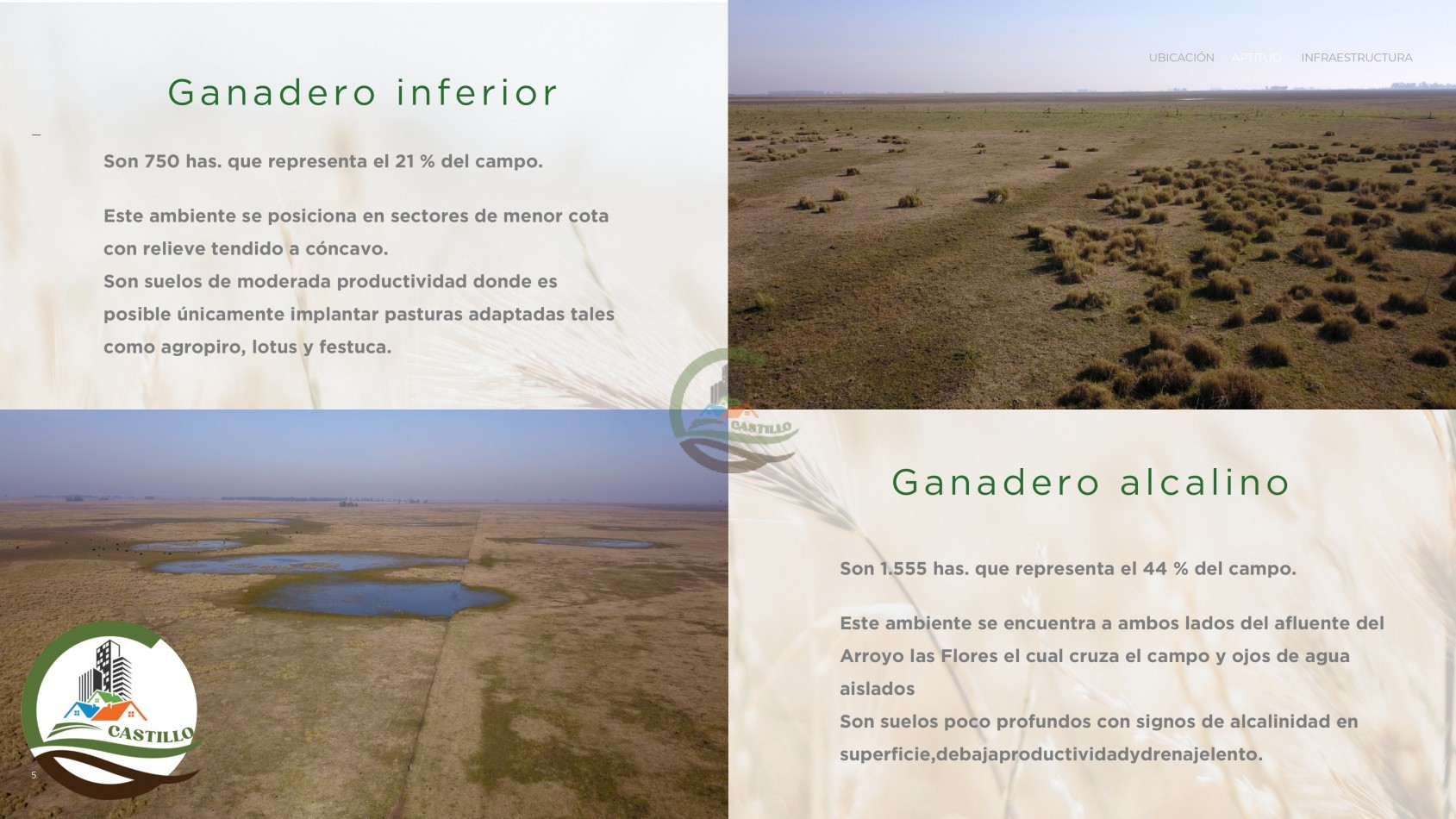 3485 ha Ganadero - Tapalque