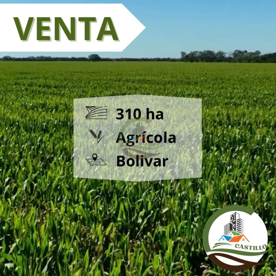310 ha agricolas - bolivar 