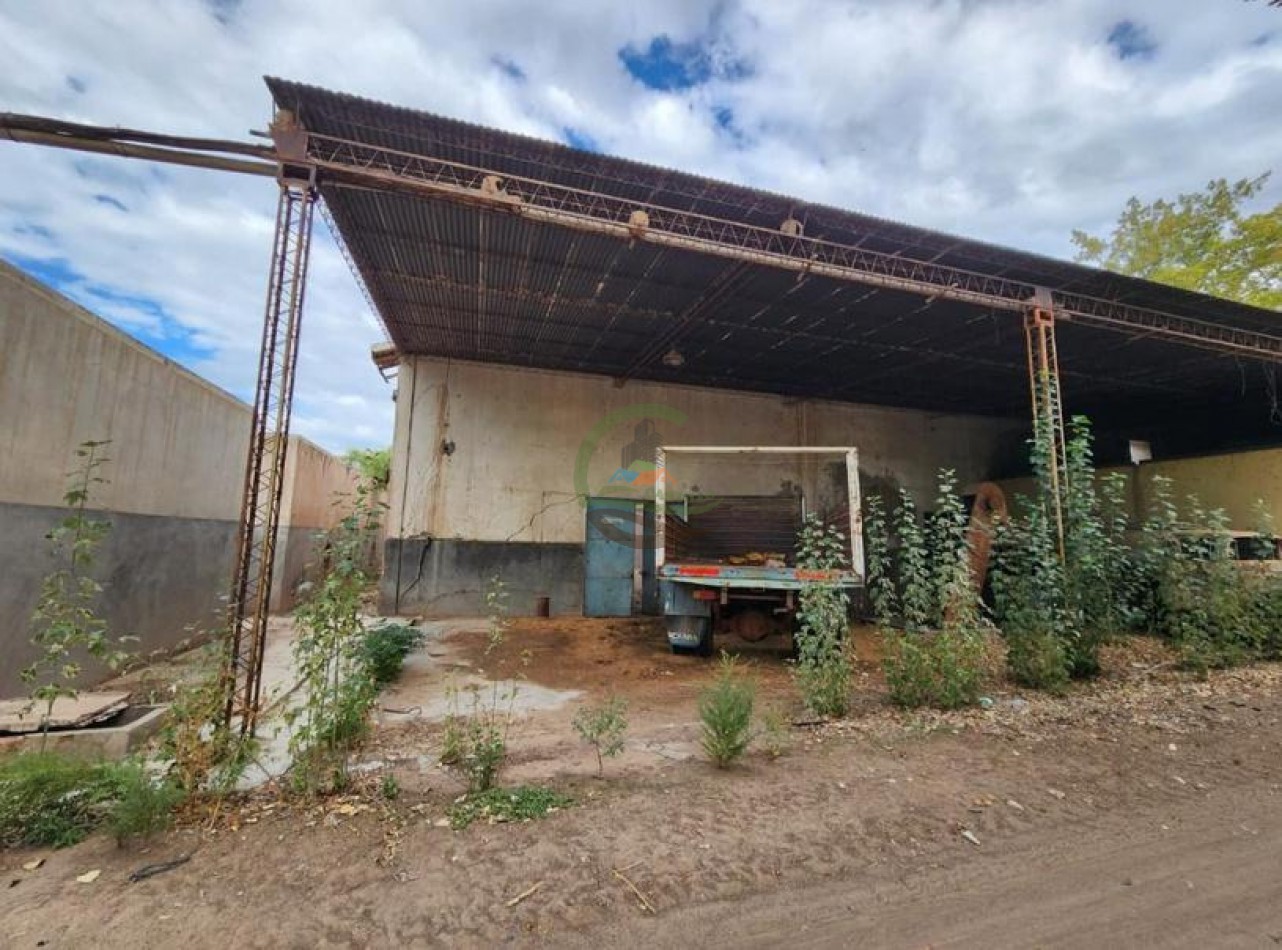 80 Ha Agricolas - San Martin - Mendoza