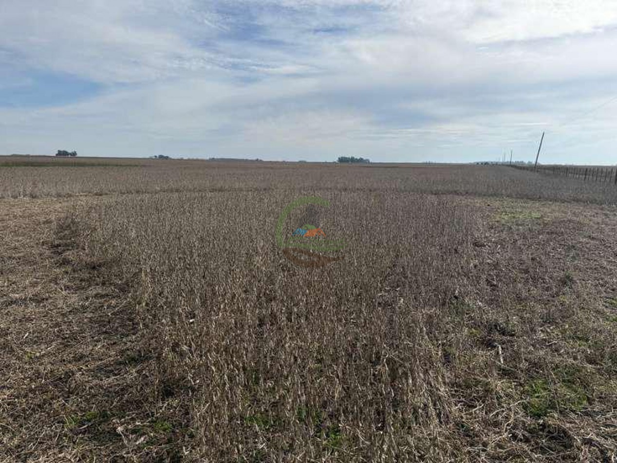 639 Ha Mixto - Urdampilleta - Bolivar