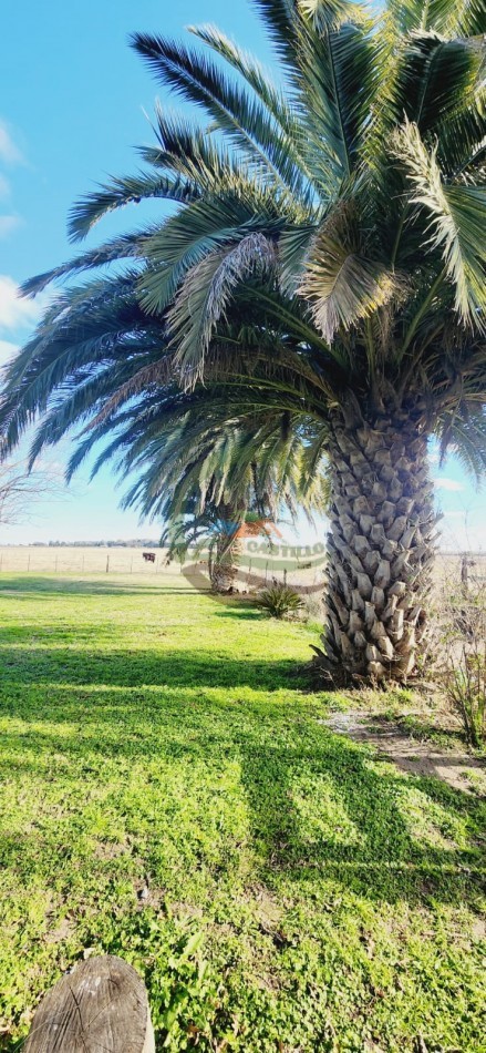 12,6 ha Mixtas - Saladillo