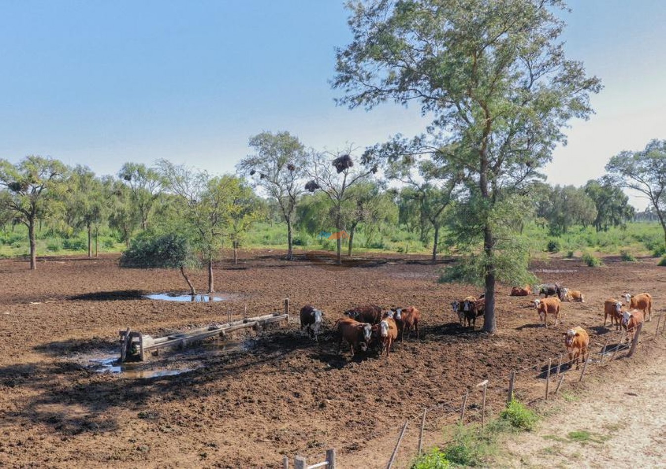9389 Ha Mixto - Jimenez - Santiago del Estero