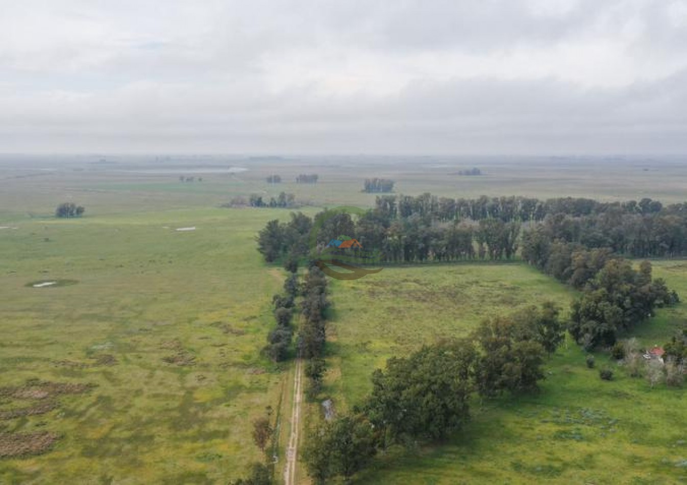 1795 Ha Ganadero - Chascomus