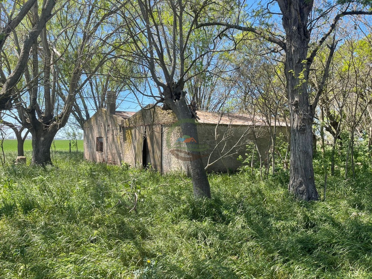102 ha Agricolas - 25 de Mayo 