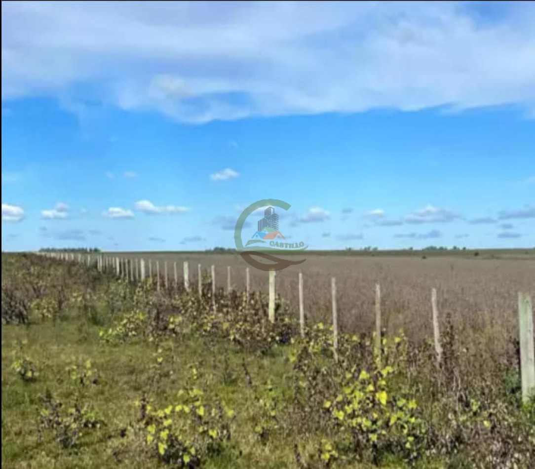 550 Ha Mixto - Concordia - Entre Rios