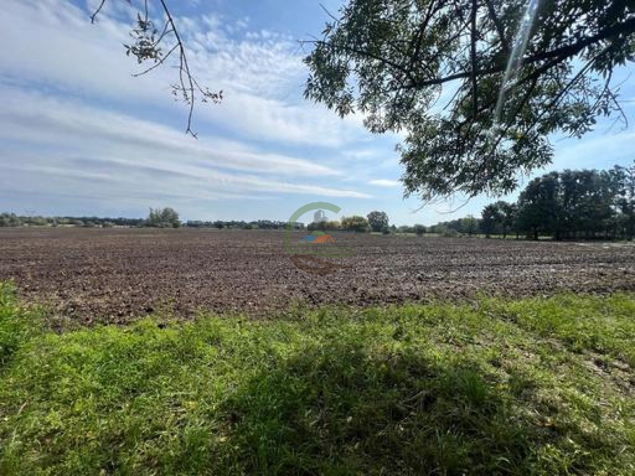 37,5 Ha Agricolas - Zarate