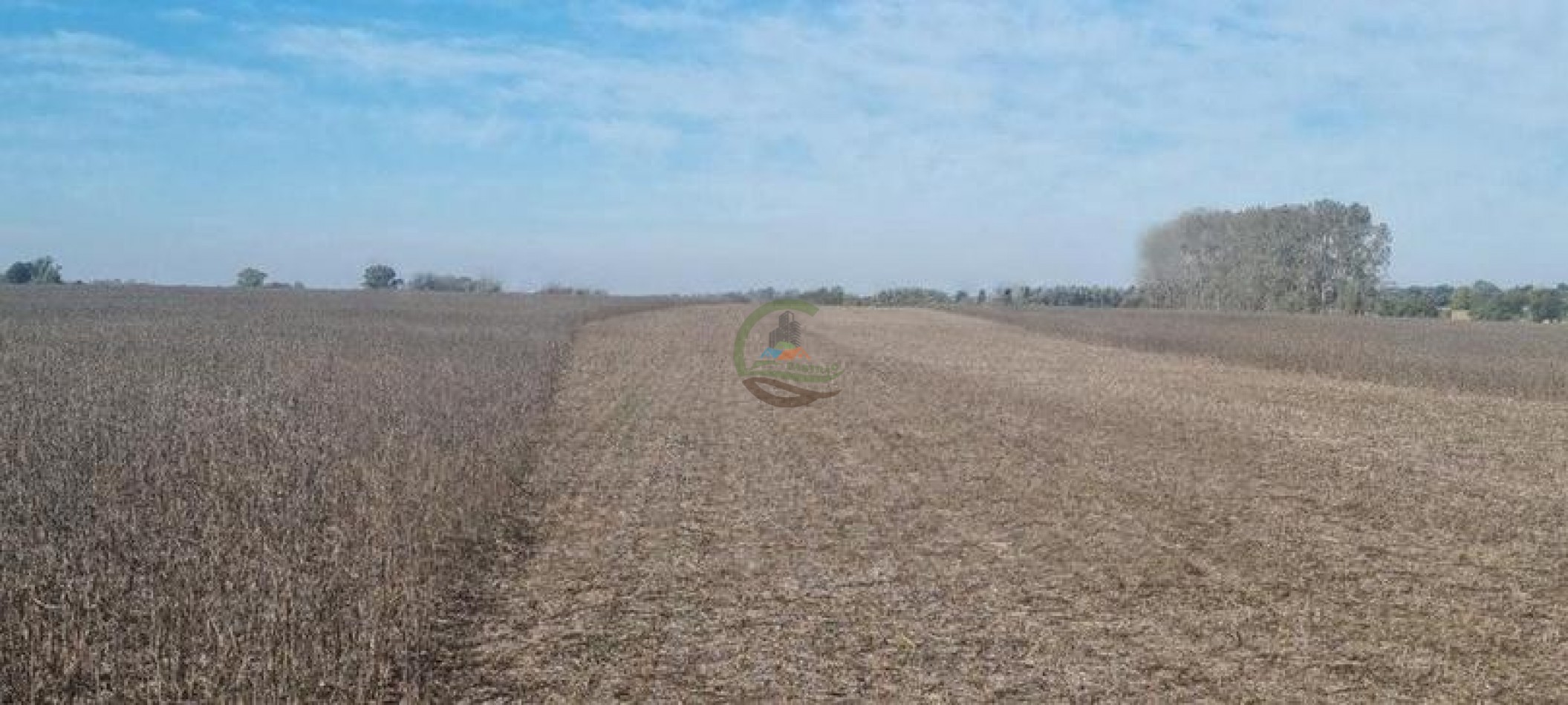 401 Ha Mixto - Lujan 
