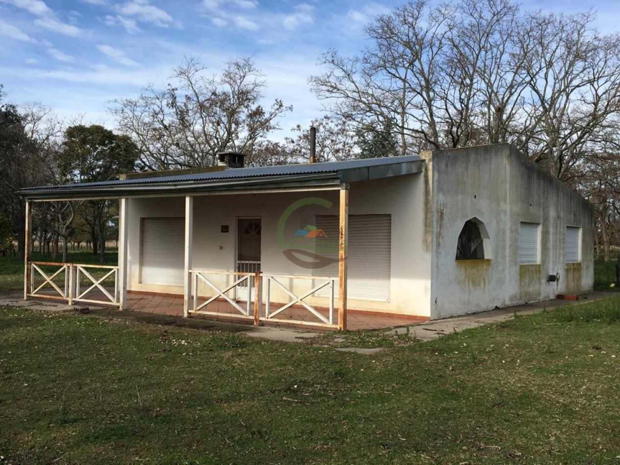 380 ha Mixtas - Bolivar