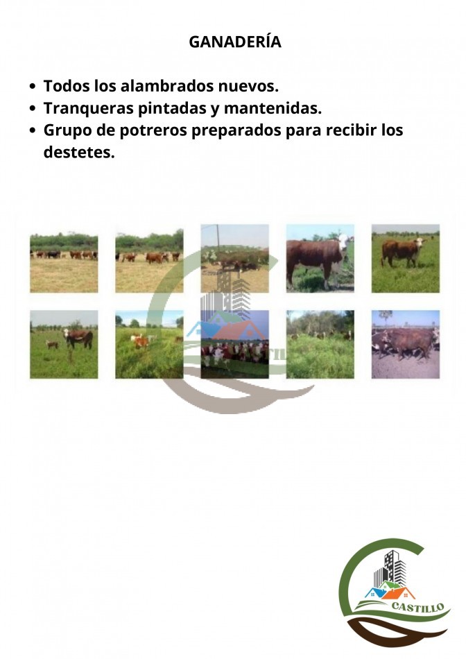 43000 ha MIxtos - Formosa