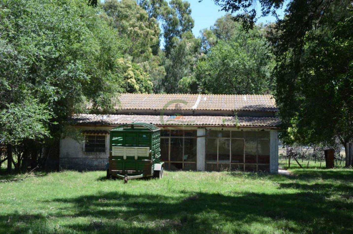 787 Ha Ganadero - Espigas - Olavarria