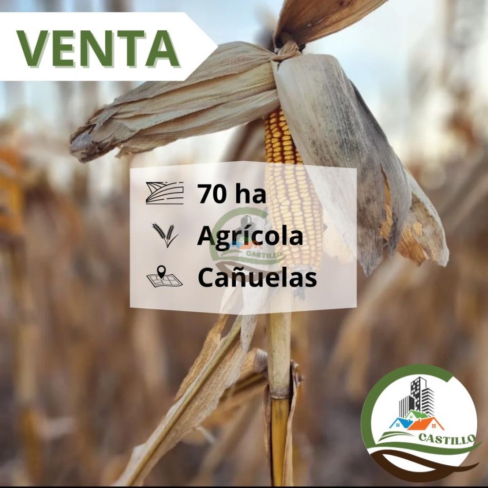 70 ha agricolas - cañuelas