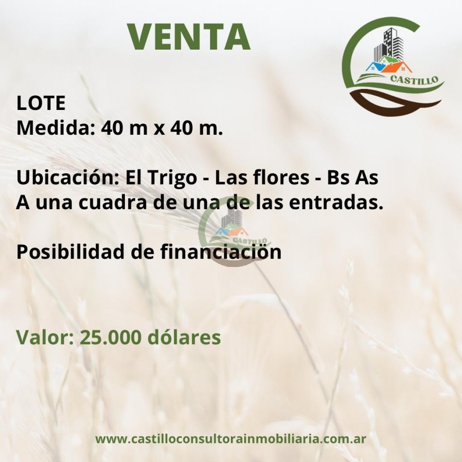 lote 40x40 - el trigo