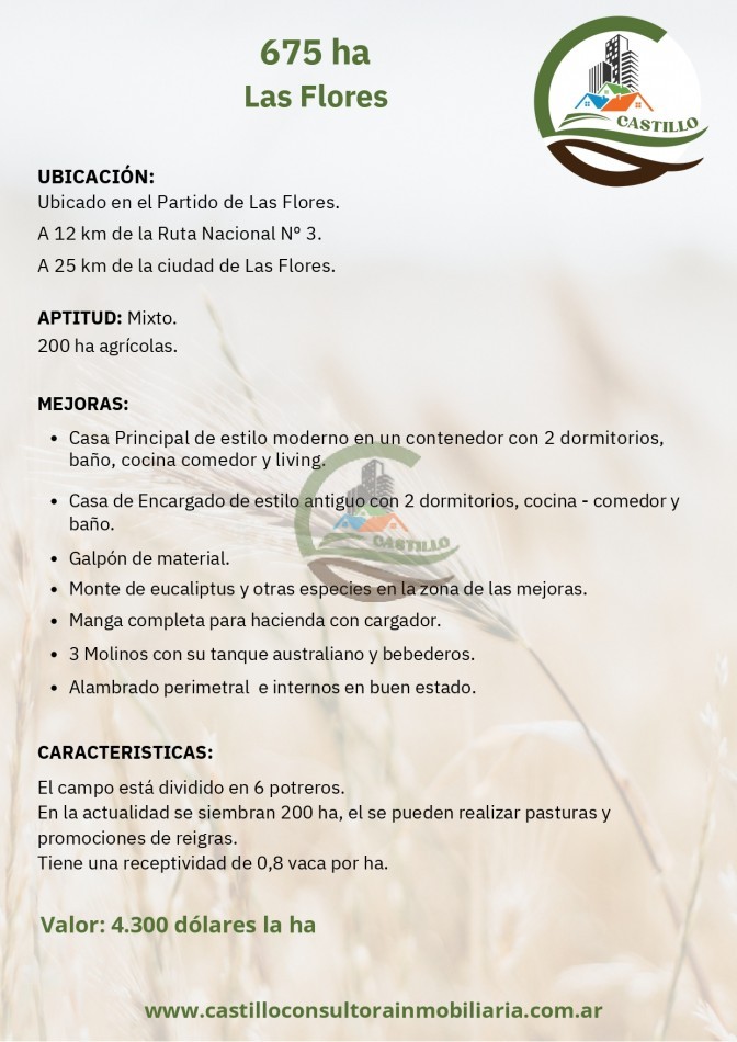675 ha mixto - las flores