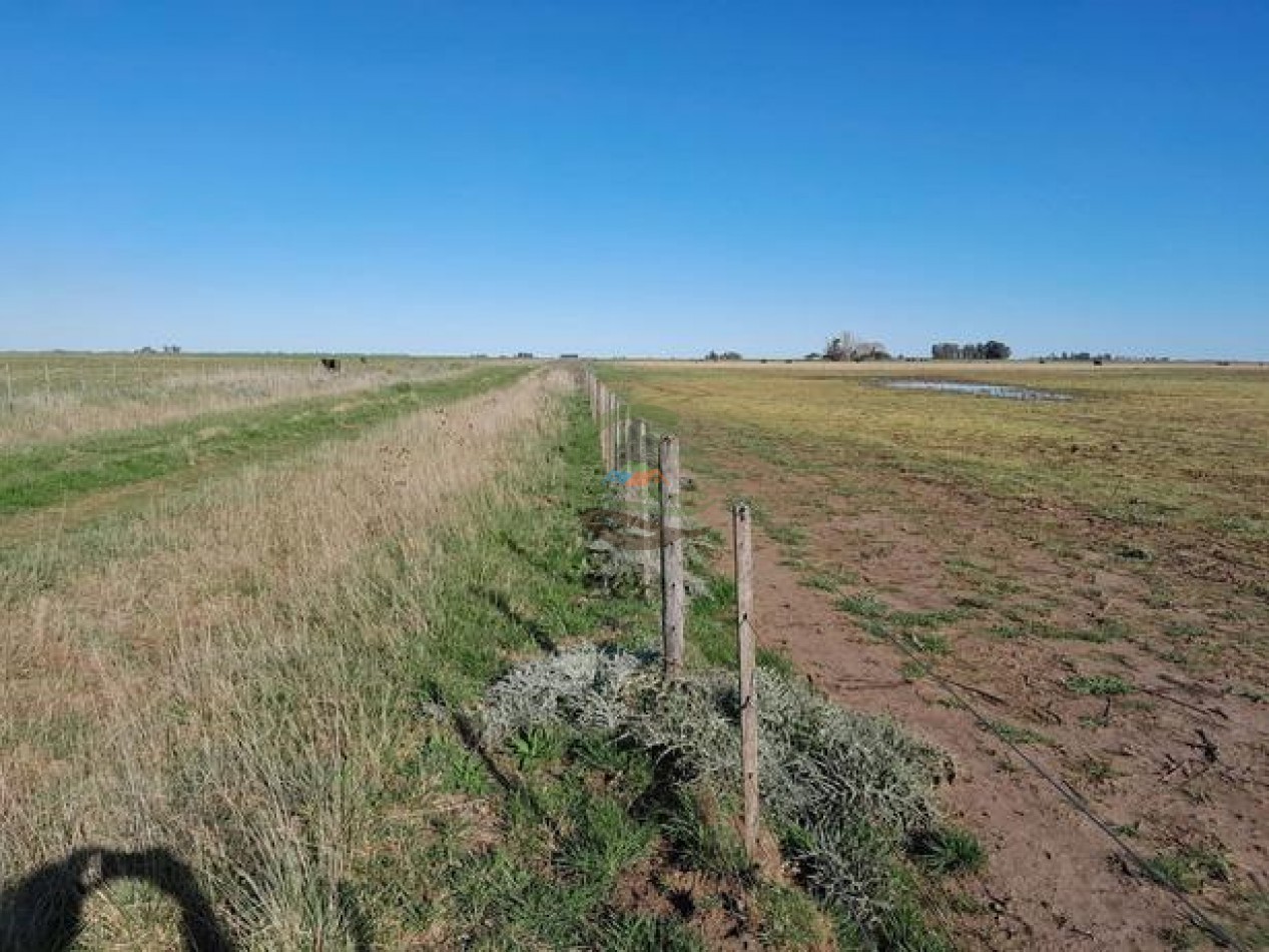 324 Ha Agricolas - San Cayetano