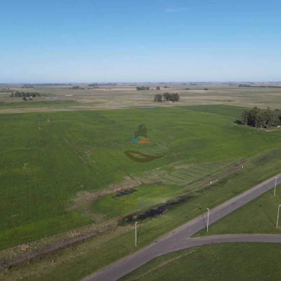 31 ha Agricolas - Saladillo 