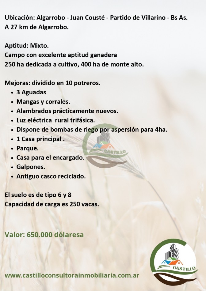 650 ha Mixto - Juan Couste
