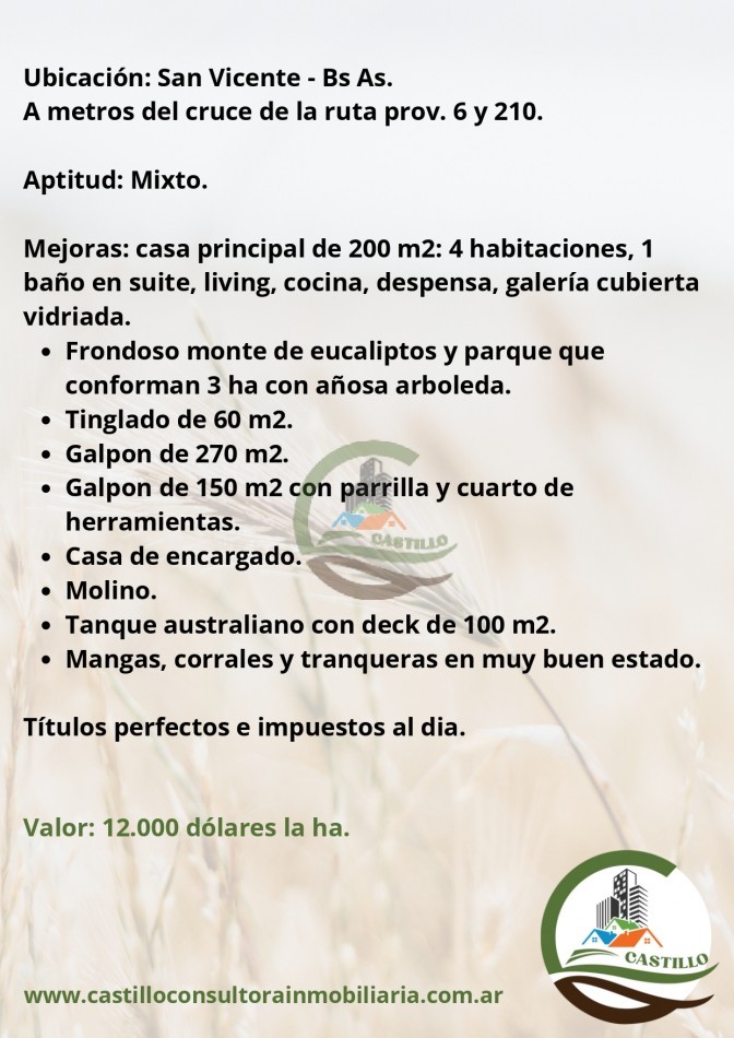 105 ha mixtas - san vicente