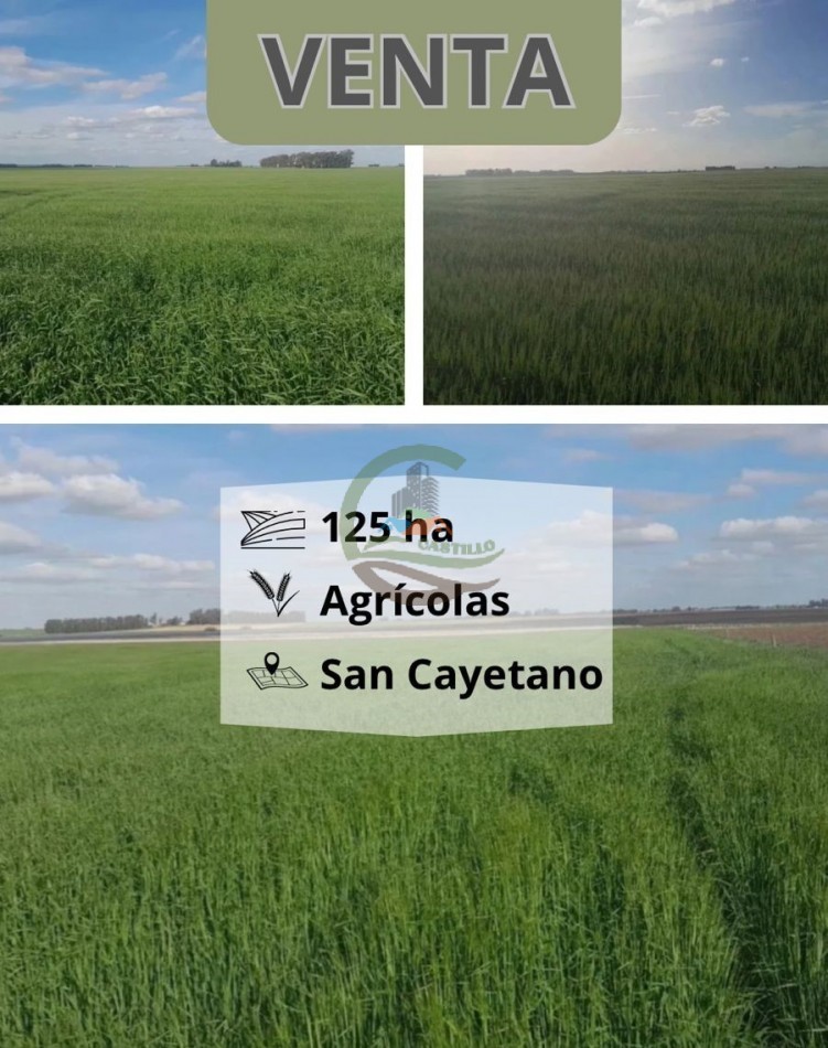125 ha Agricolas - San Cayetano