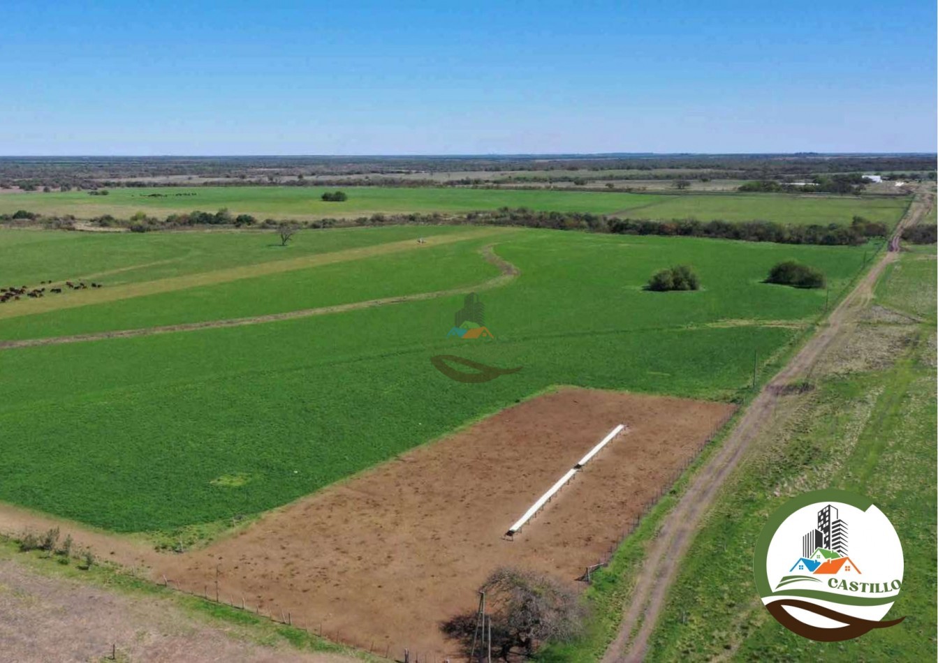2658 ha Mixto - Entre Rios