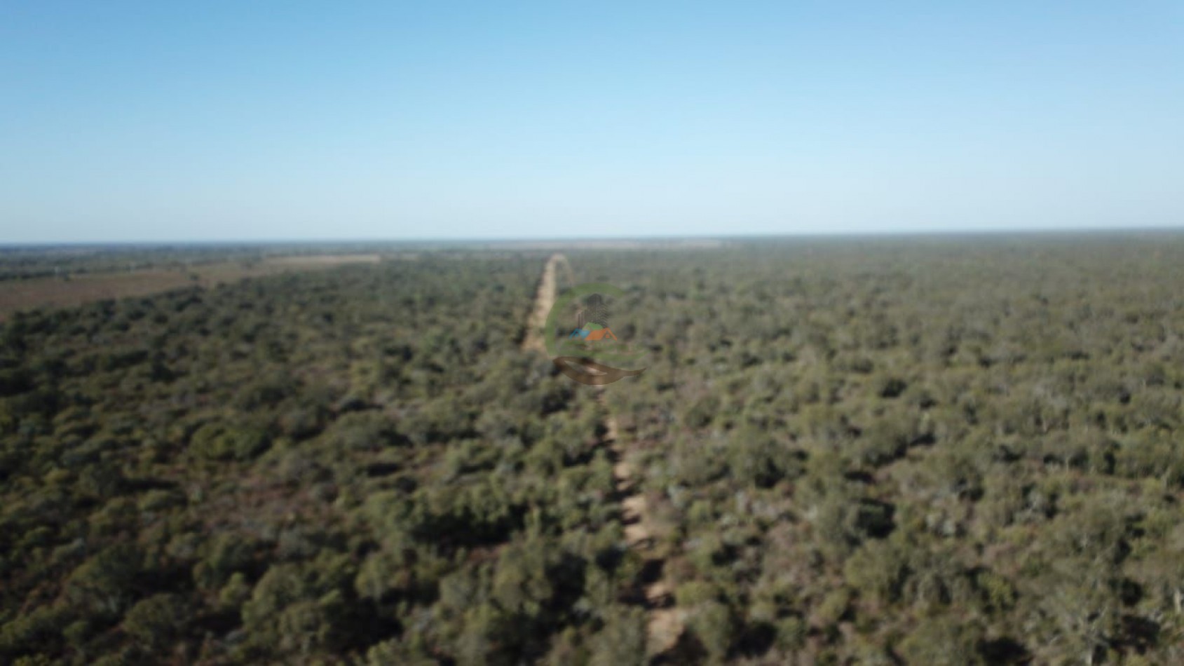 21000 ha mixto santiago del estero