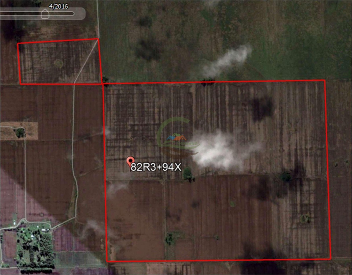 280 ha Agricolas - Ramallo
