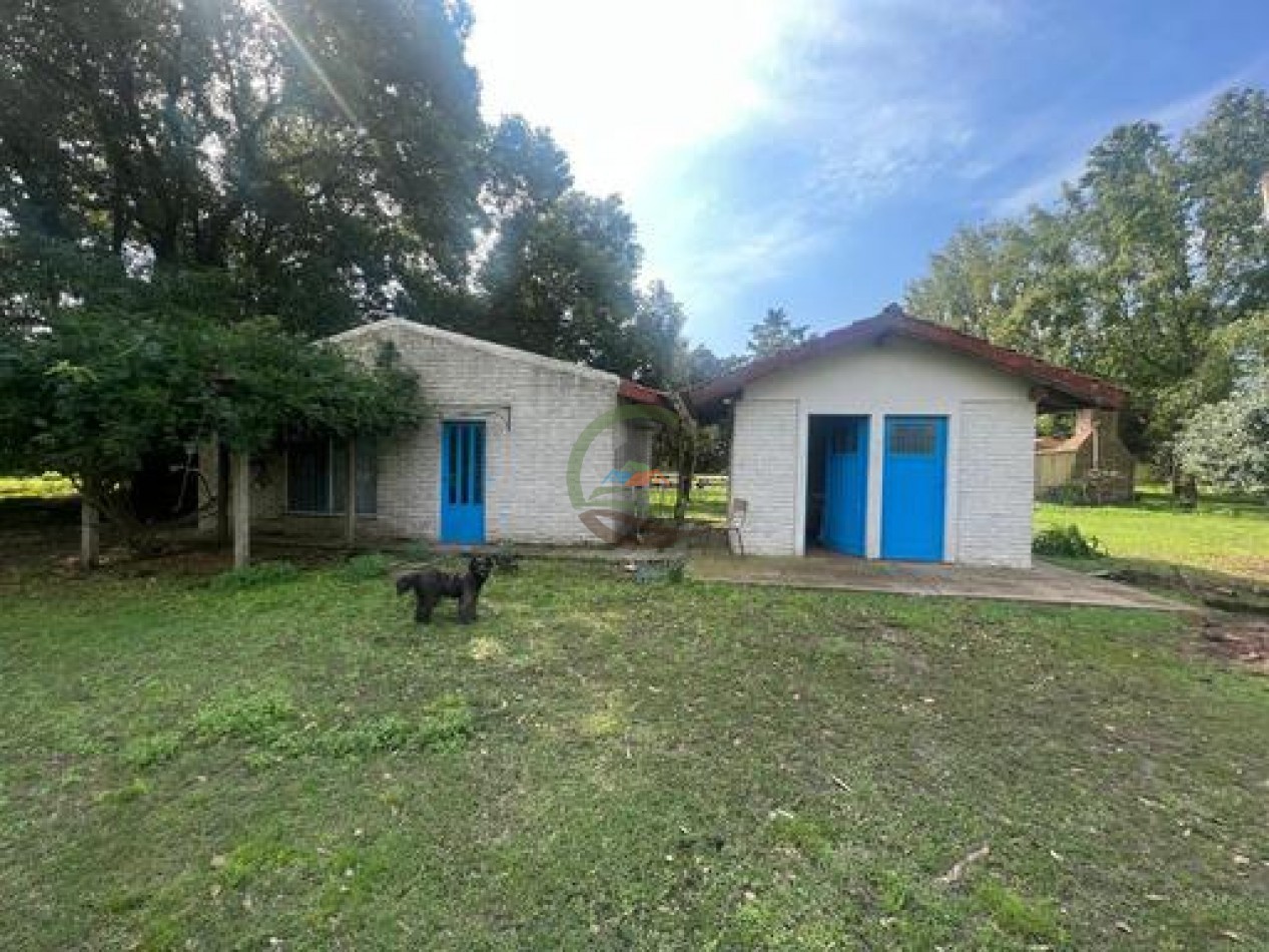37,5 Ha Agricolas - Zarate