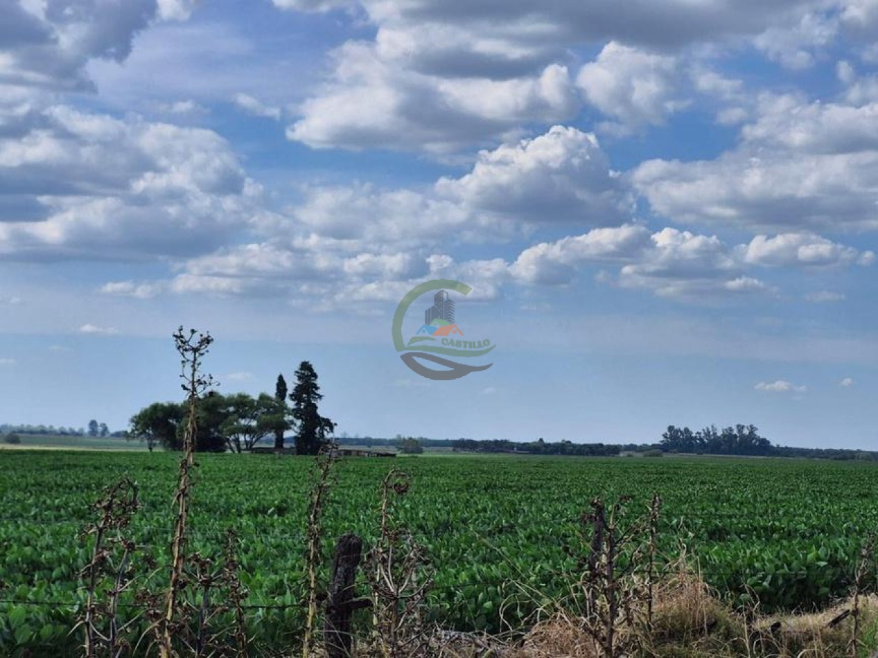 55 Ha Mixto - Salto