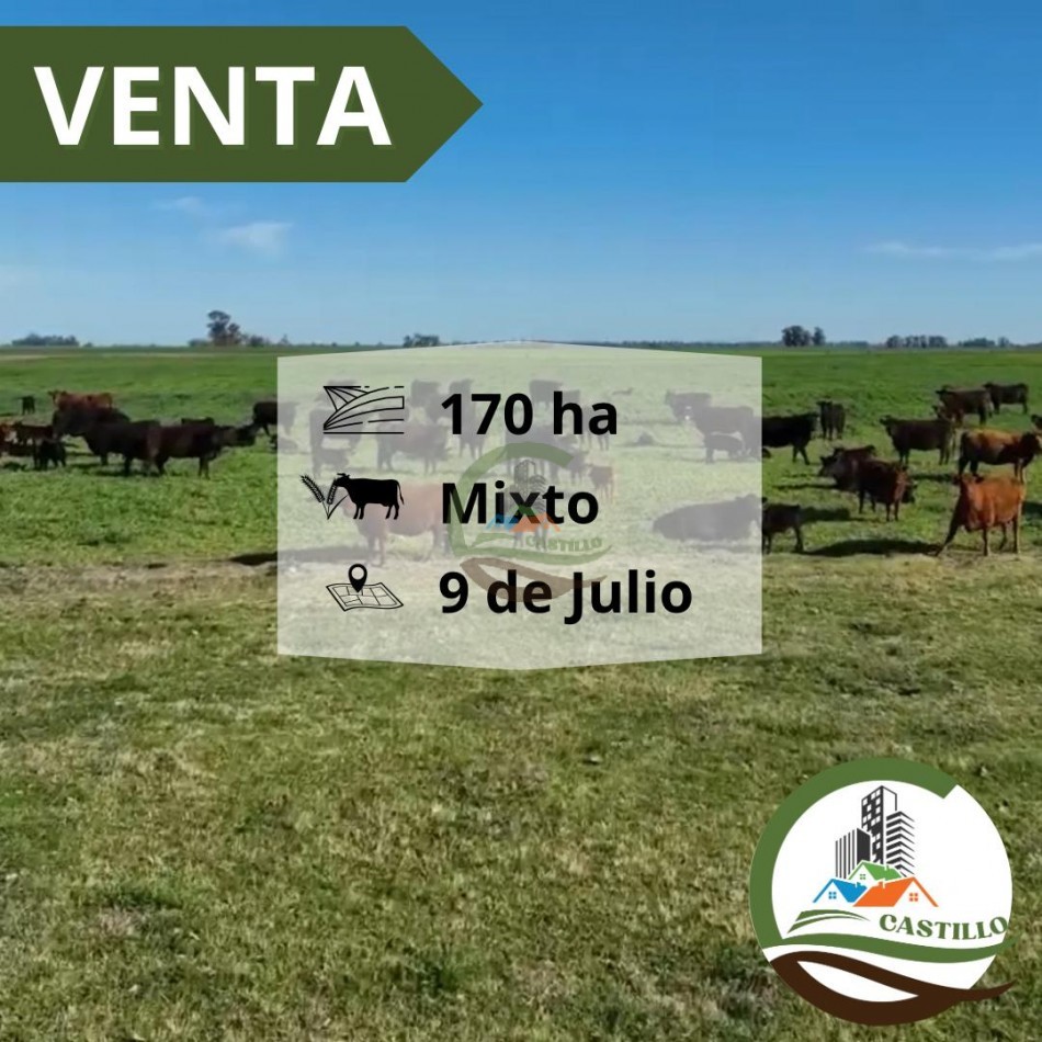 180 ha mixtas - 9 de julio