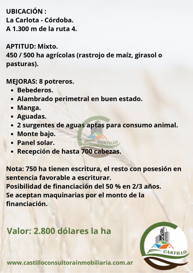 1201 ha mixtas - cordoba