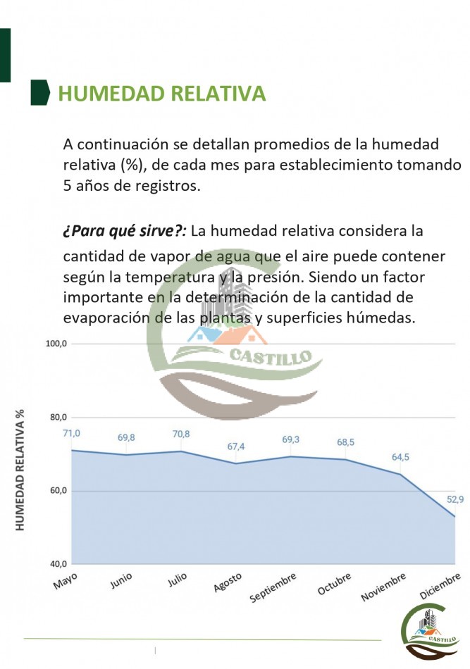 315 ha Mixto - Balcarce