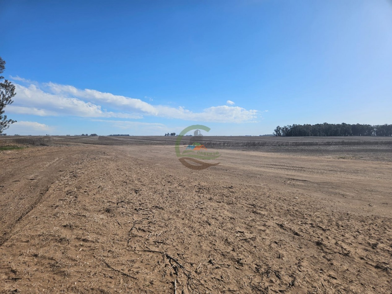797 ha Agricolas - Bolivar