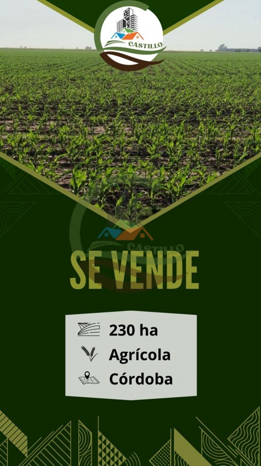 230 ha agricola - Labulaye