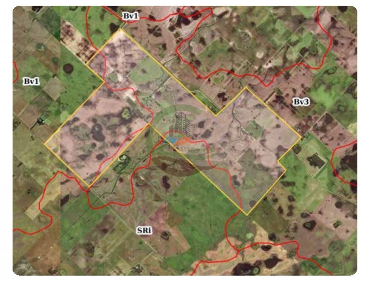 433 ha mixto - Bolivar 