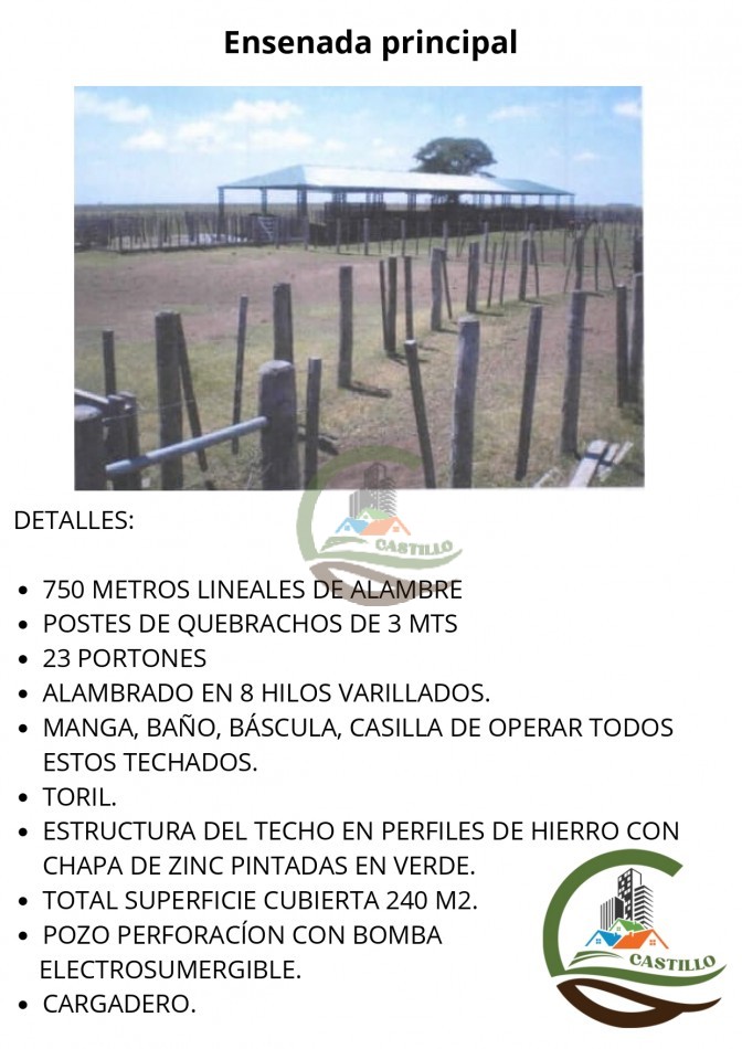 41000 ha mixtas - corrientes