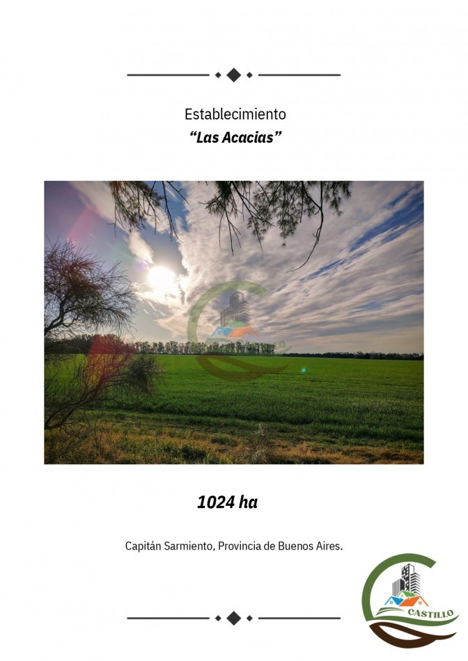 1024 ha Agricolas - Capitan Sarmiento 