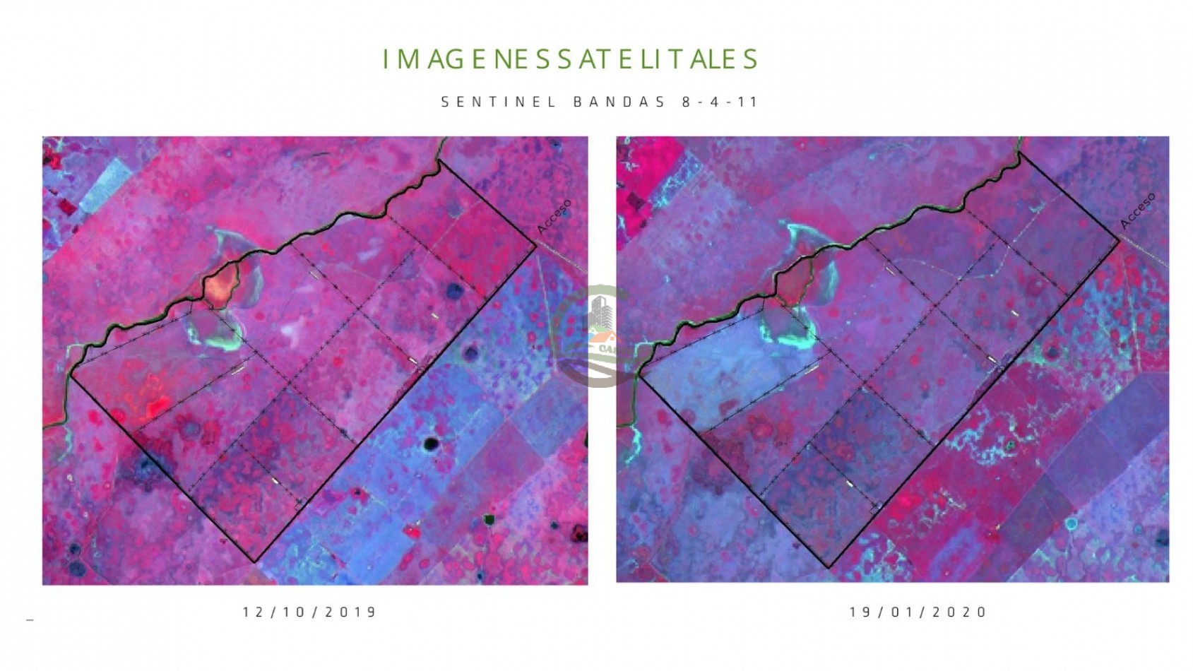 1184 ha Ganadero - Las Flores