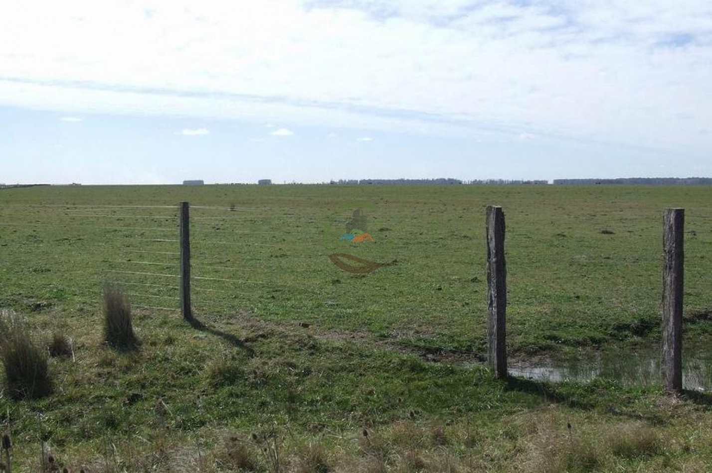 372 Ha Ganadero - Tapalque