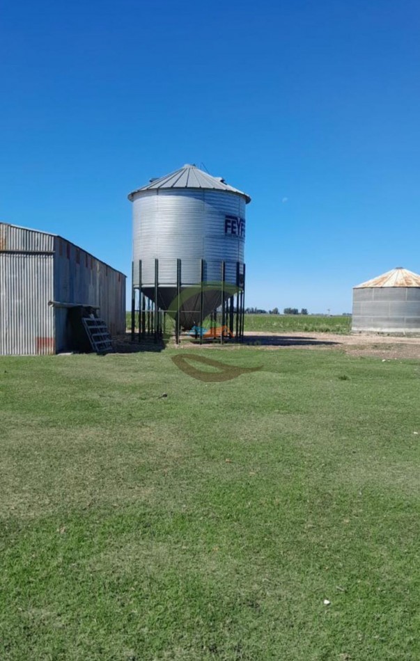 350 ha Agricolas - San Cayetano