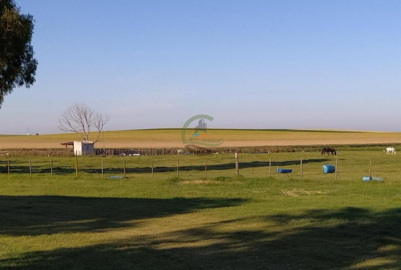 1120 Ha Mixto - Rio Cuarto - Cordoba