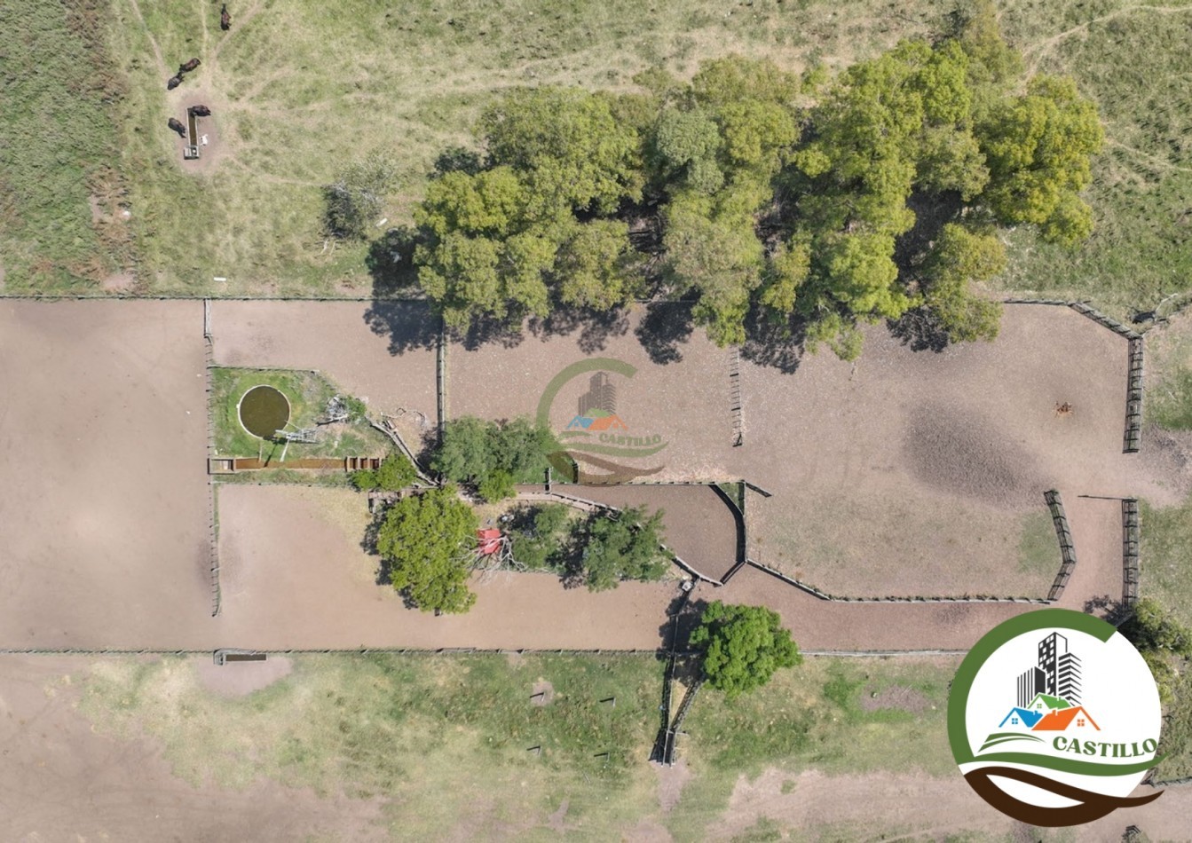 3275 ha ganaderas - general alvear