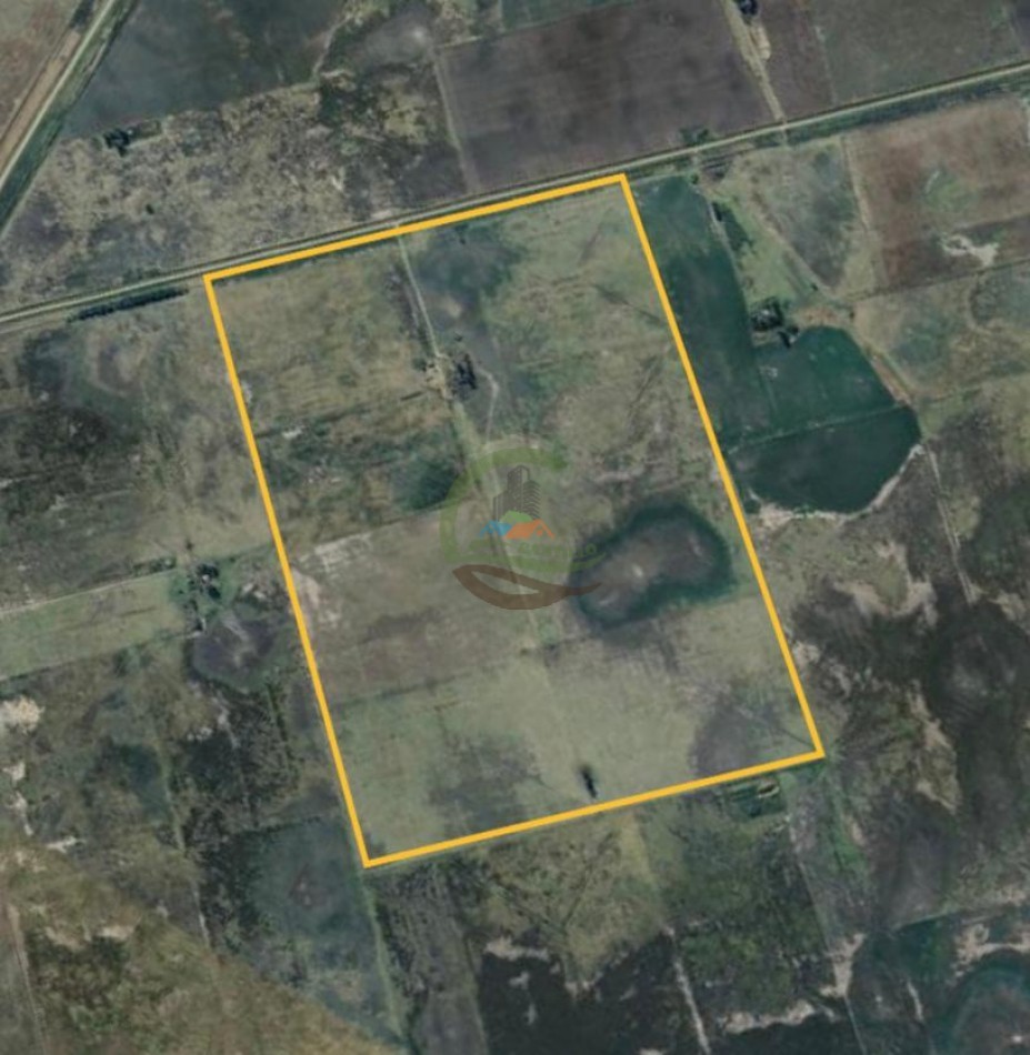 107 Ha Mixto - Carlos Tejedor