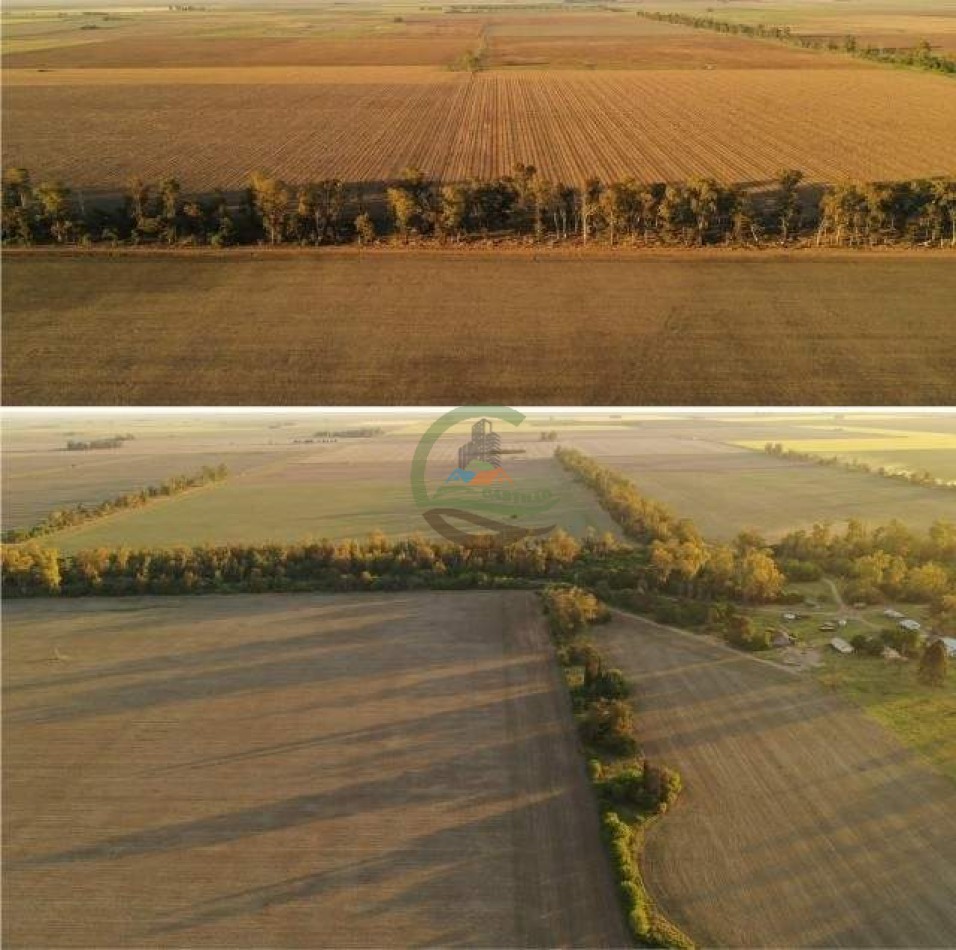 1138 ha agricolas - gral villegas