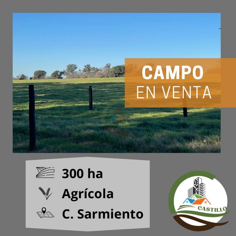 300 ha Agricolas - Capitan Sarmiento