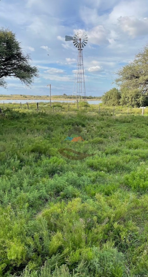 8600 HA MIxtas - San Luis