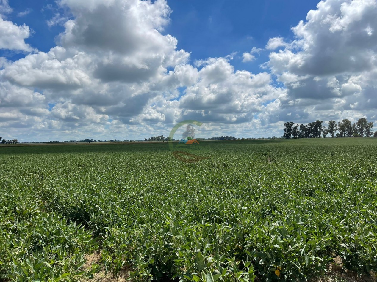 84 ha mixta - Bolivar