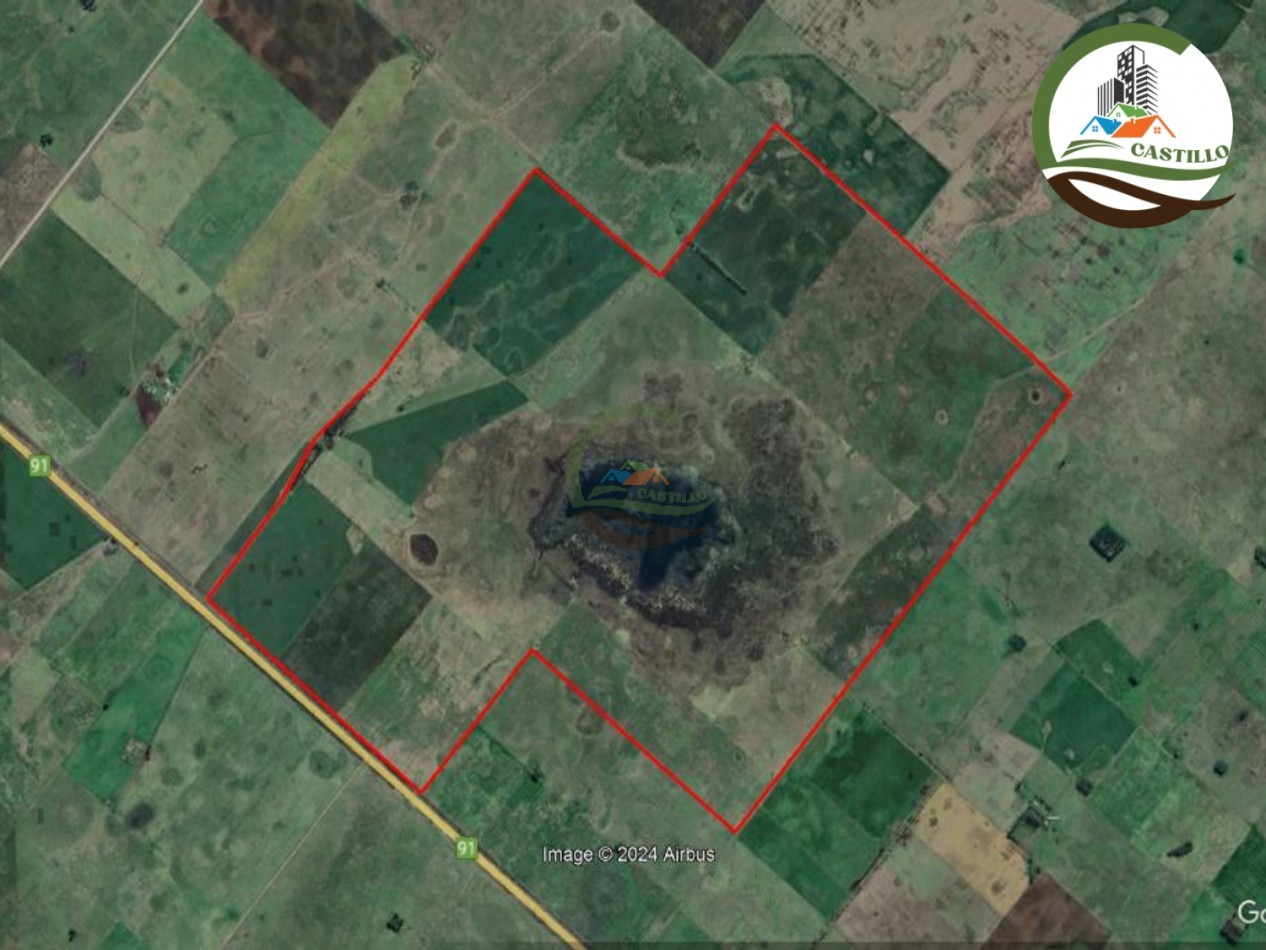 1025 ha mixta - saladillo
