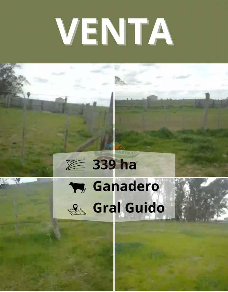 339 ha Ganaderas - Gral Guido
